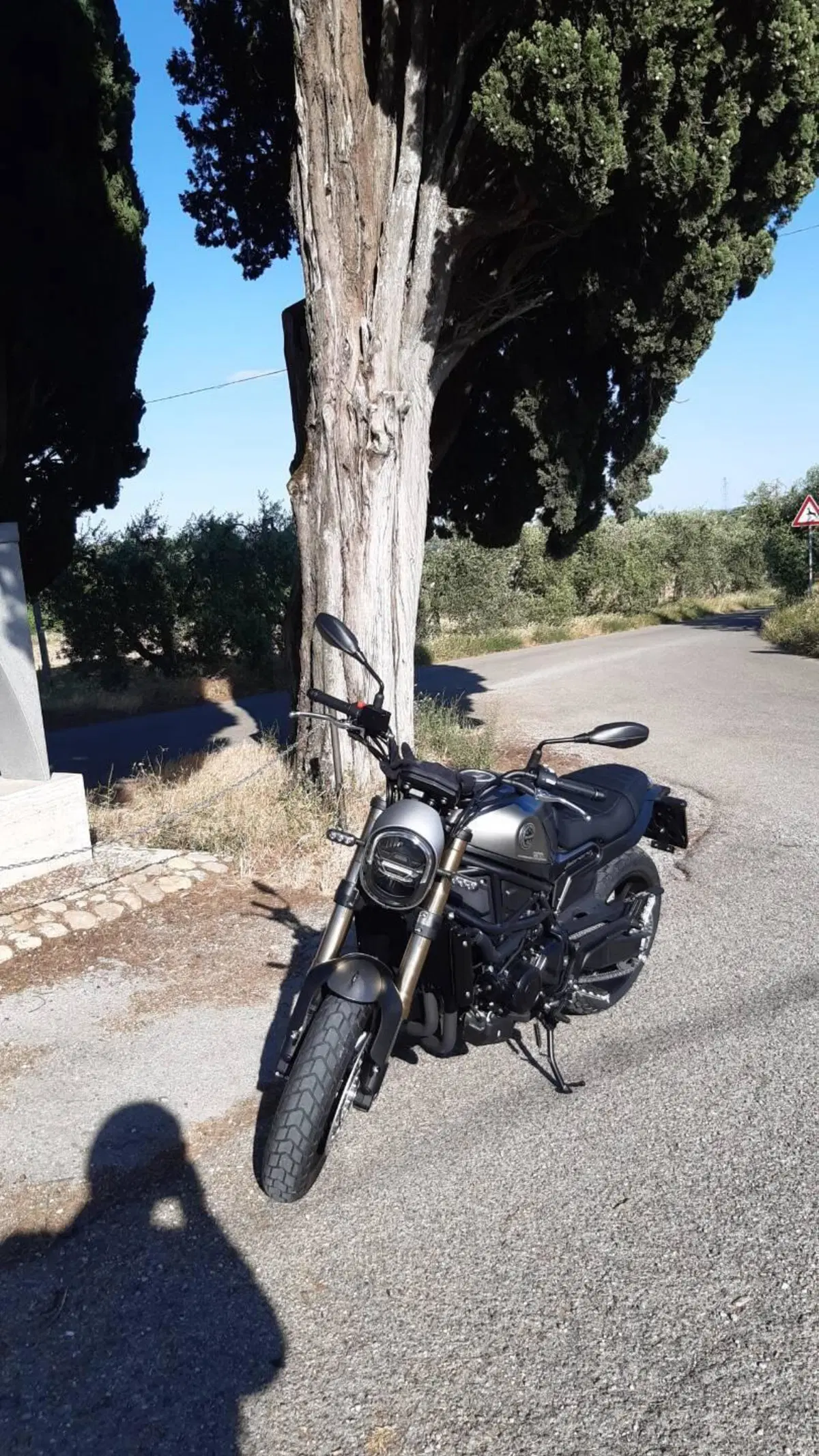 Benelli Leoncino 800 (2022 - 26) (2)