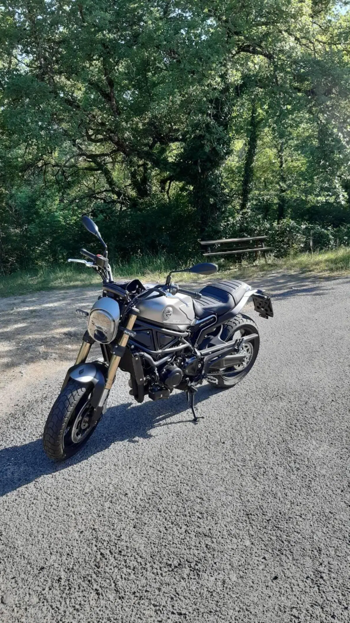Benelli Leoncino 800 (2022 - 26) (3)