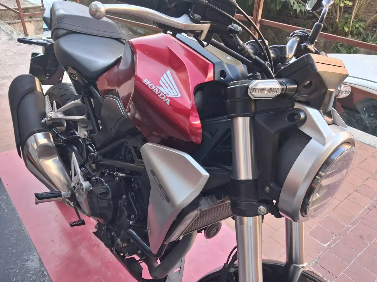 Honda CB 300 R (2020 - 21) (4)