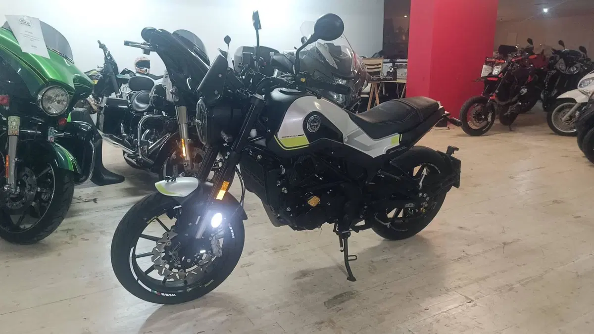 Benelli Leoncino 250 (2019 - 20) (3)