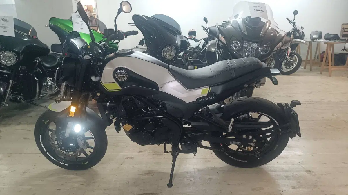 Benelli Leoncino 250 (2019 - 20) (4)