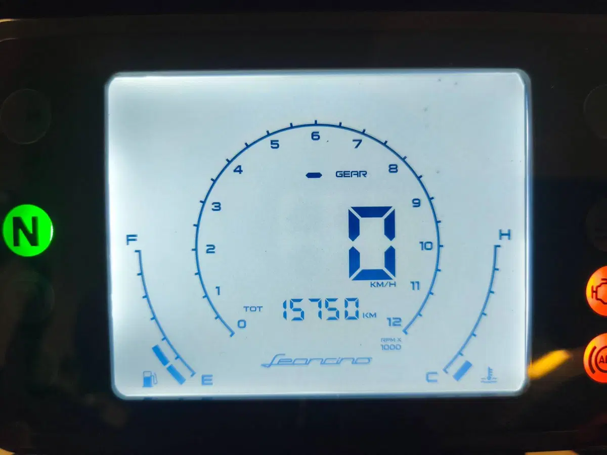 Benelli Leoncino 250 (2019 - 20) (5)