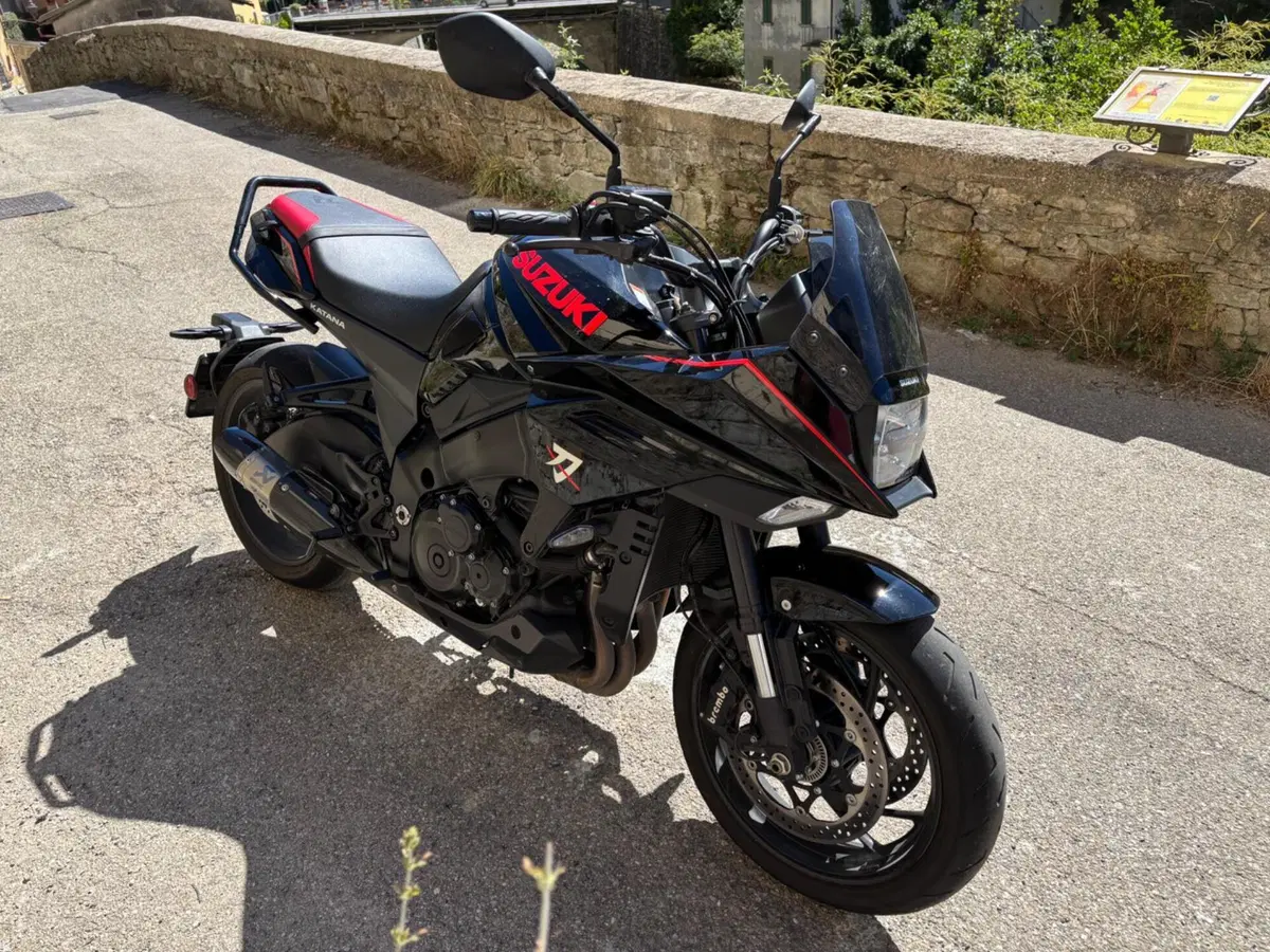 Suzuki Katana 1000 Jindachi (2019 - 20) (6)