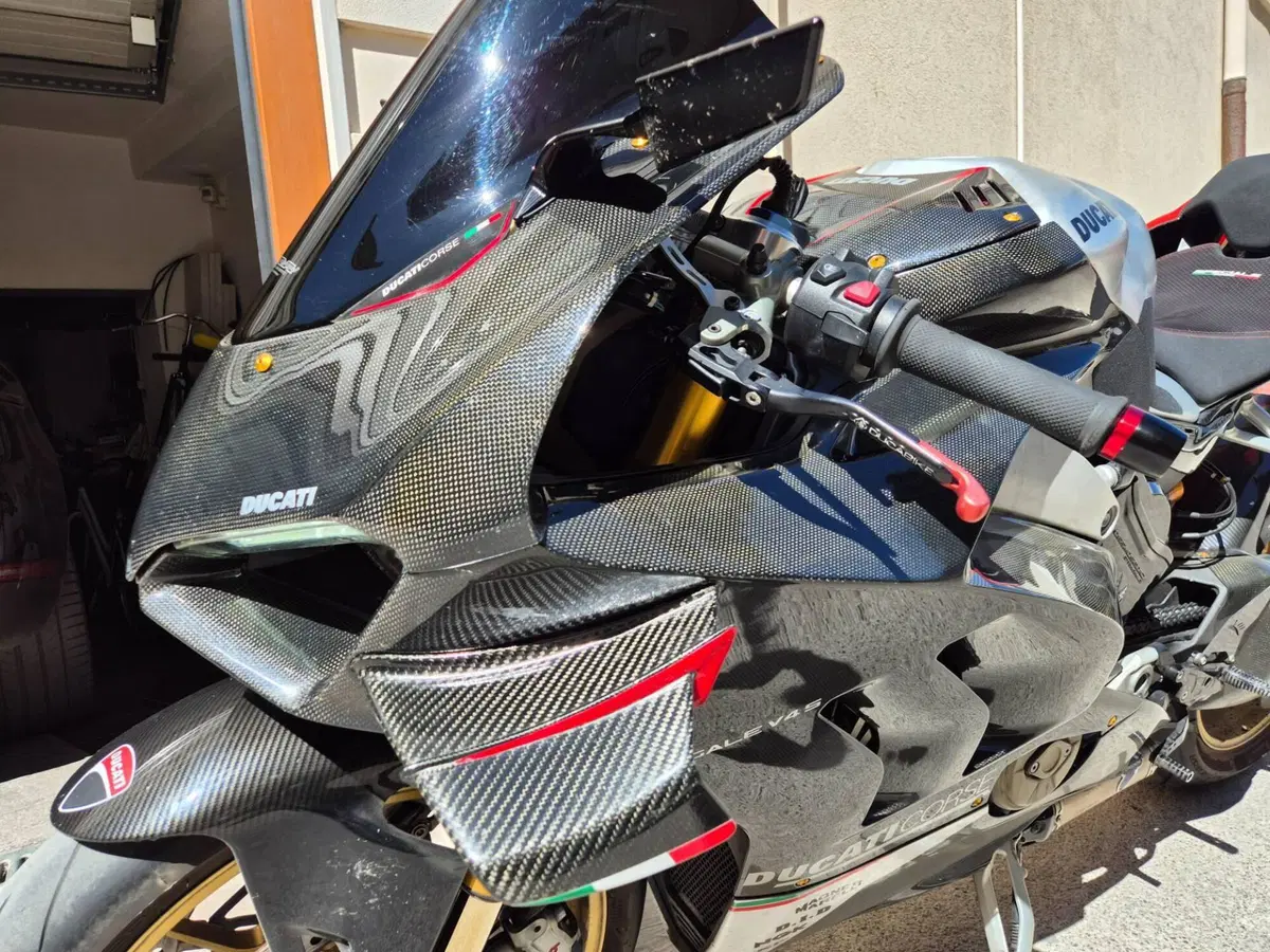 Ducati Panigale V4 S 1100 (2018 - 19) (2)