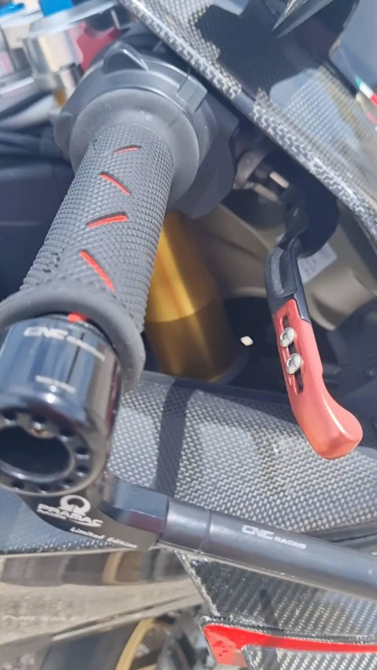 Ducati Panigale V4 S 1100 (2018 - 19) (12)