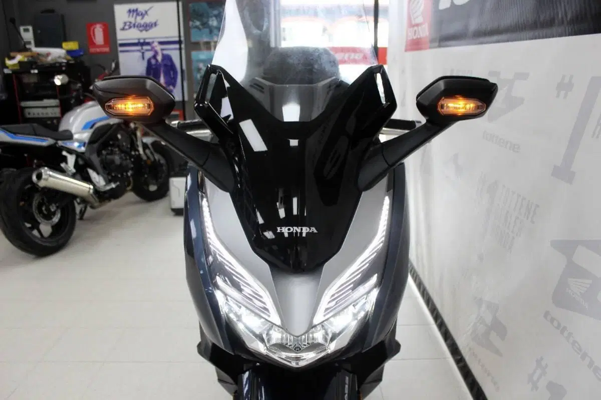 Honda Forza 300 (2019 - 20) (4)