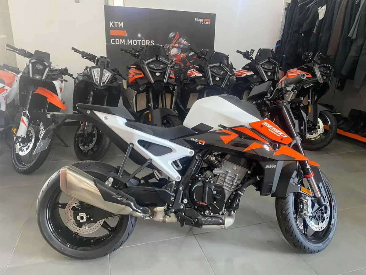 KTM 990 Duke (2024 - 26)