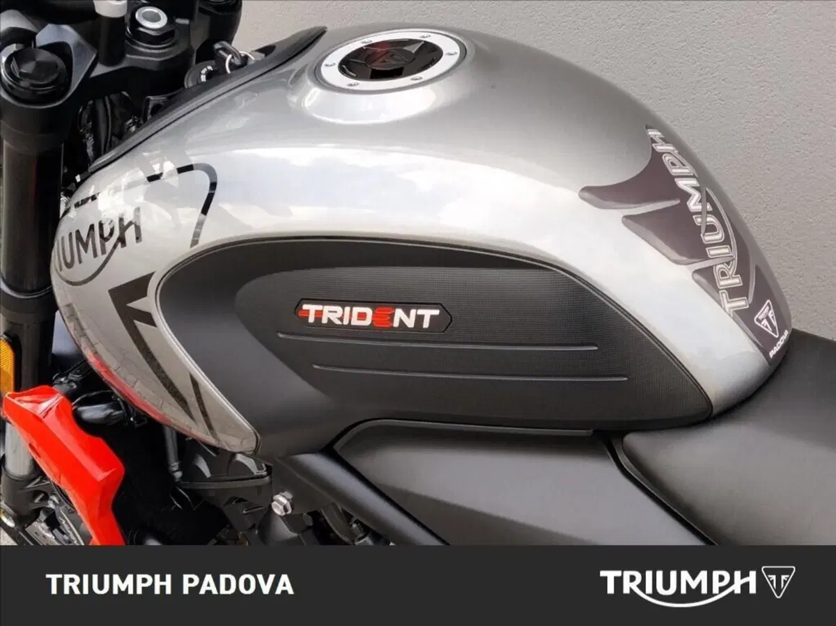 Triumph Trident 660 (2021 - 24) (9)
