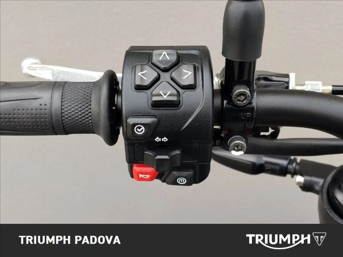 Triumph Trident 660 (2021 - 24) (12)