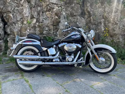 Harley-Davidson 1450 Deluxe (2005 - 06) - FLSTNI usata
