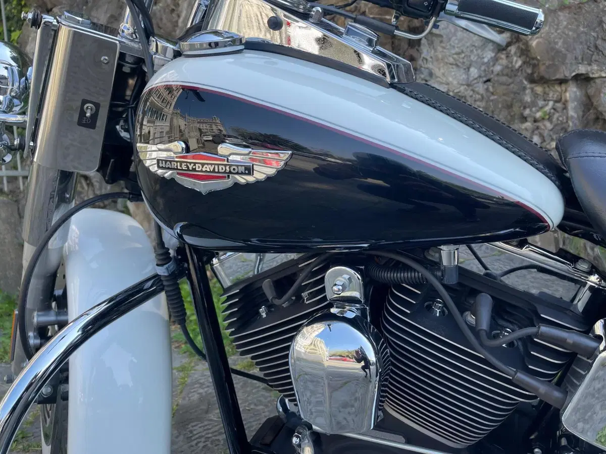 Harley-Davidson 1450 Deluxe (2005 - 06) - FLSTNI (6)