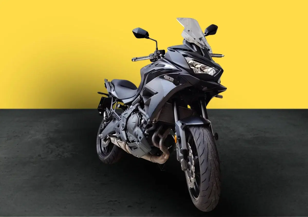 Kawasaki Versys 650 (2025 - 26) (2)
