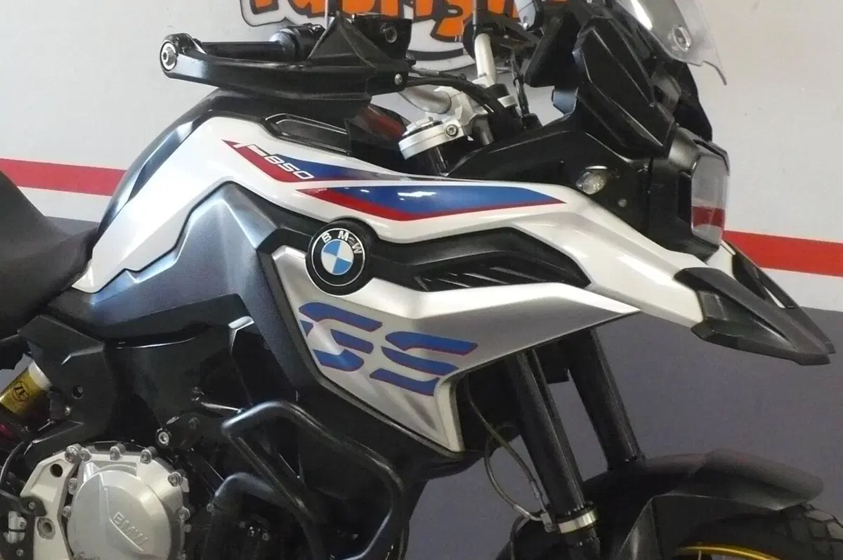 Bmw F 850 GS (2018 - 20) (8)
