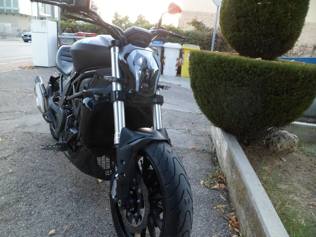 Benelli 502 C (2019 - 20) (2)