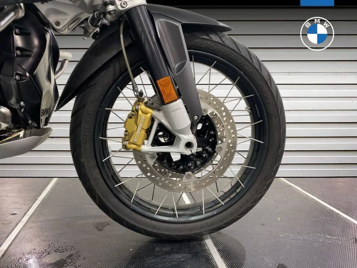 Bmw R 1250 GS (2019 - 20) (14)