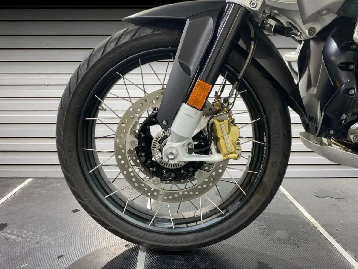 Bmw R 1250 GS (2019 - 20) (15)