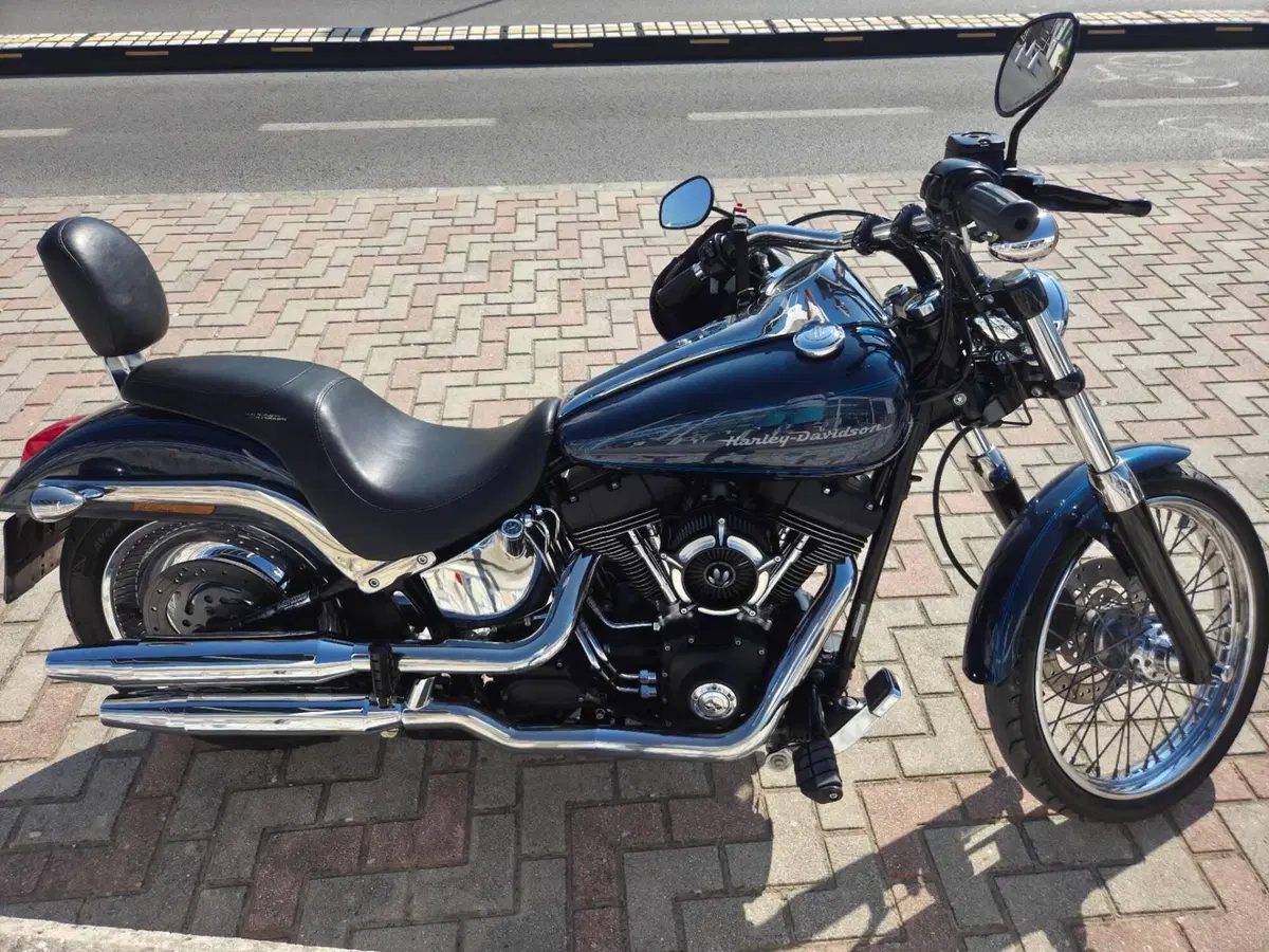 Harley-Davidson 1450 Deuce (2001 - 05) - FXSTDI (6)