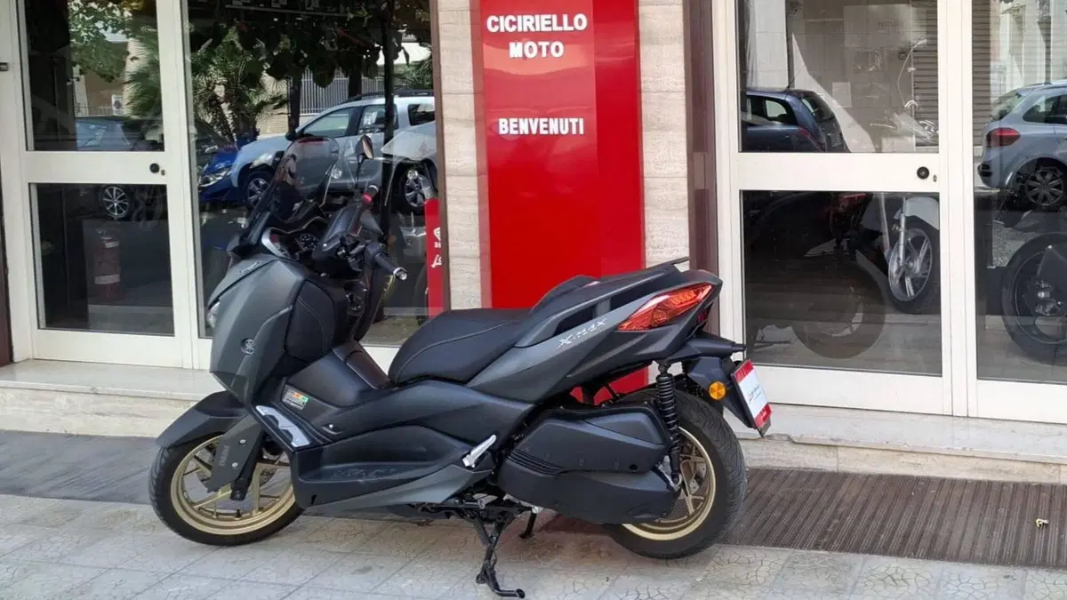 Yamaha X-Max 300 Tech Max (2021 - 24) (7)