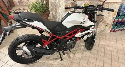 Benelli BN 125 (2021 - 25) usata