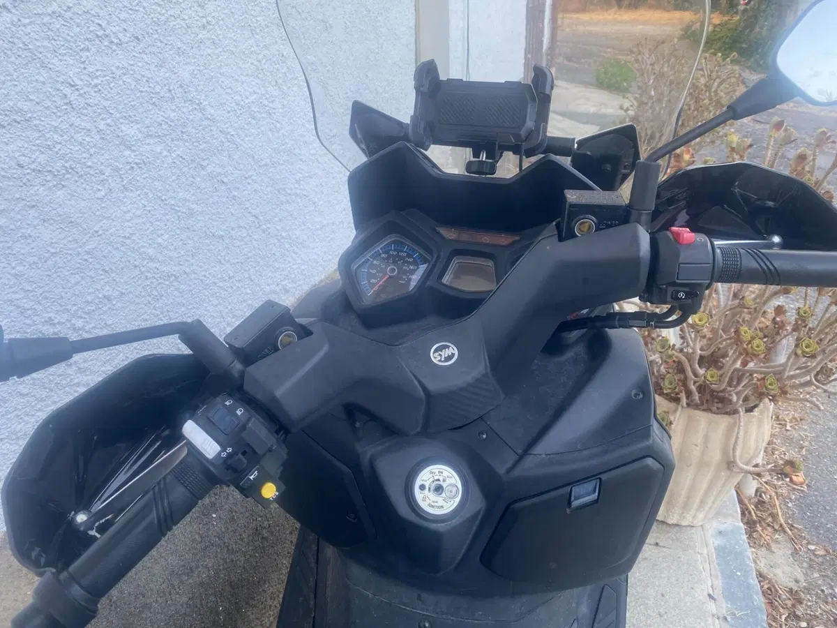 Sym Joymax 300 Z+ (2021 - 24) (2)