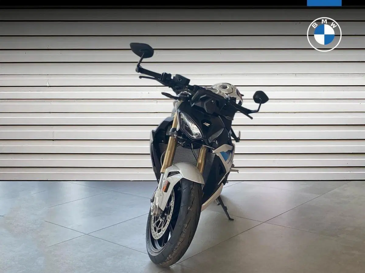 Bmw S 1000 R (2025 - 27) (2)