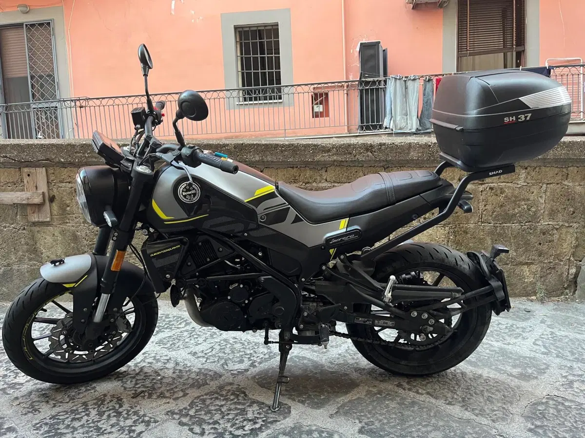 Benelli Leoncino 250 (2021 - 25) (2)