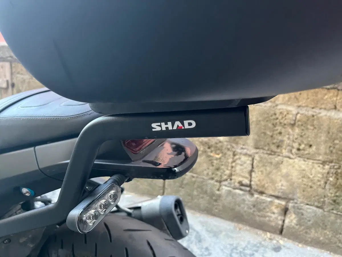 Benelli Leoncino 250 (2021 - 25) (7)