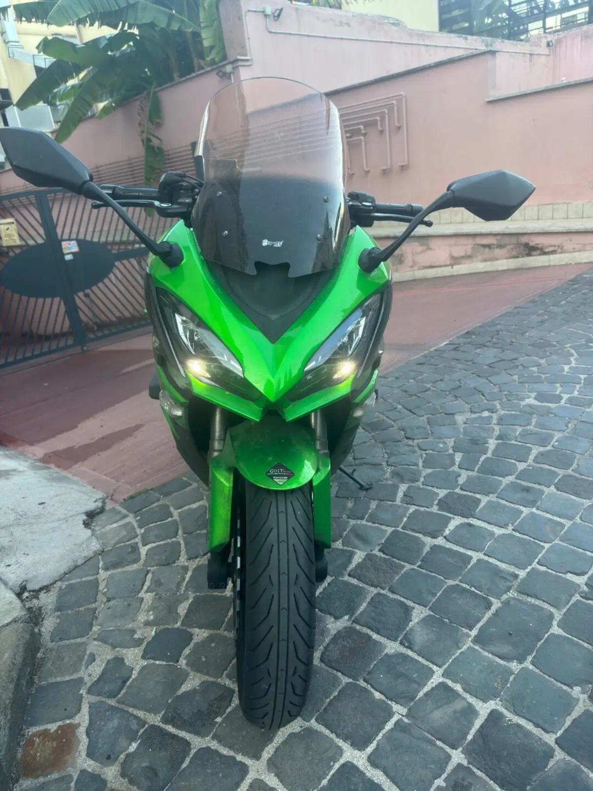 Kawasaki Z 1000 SX (2017 - 20) (6)
