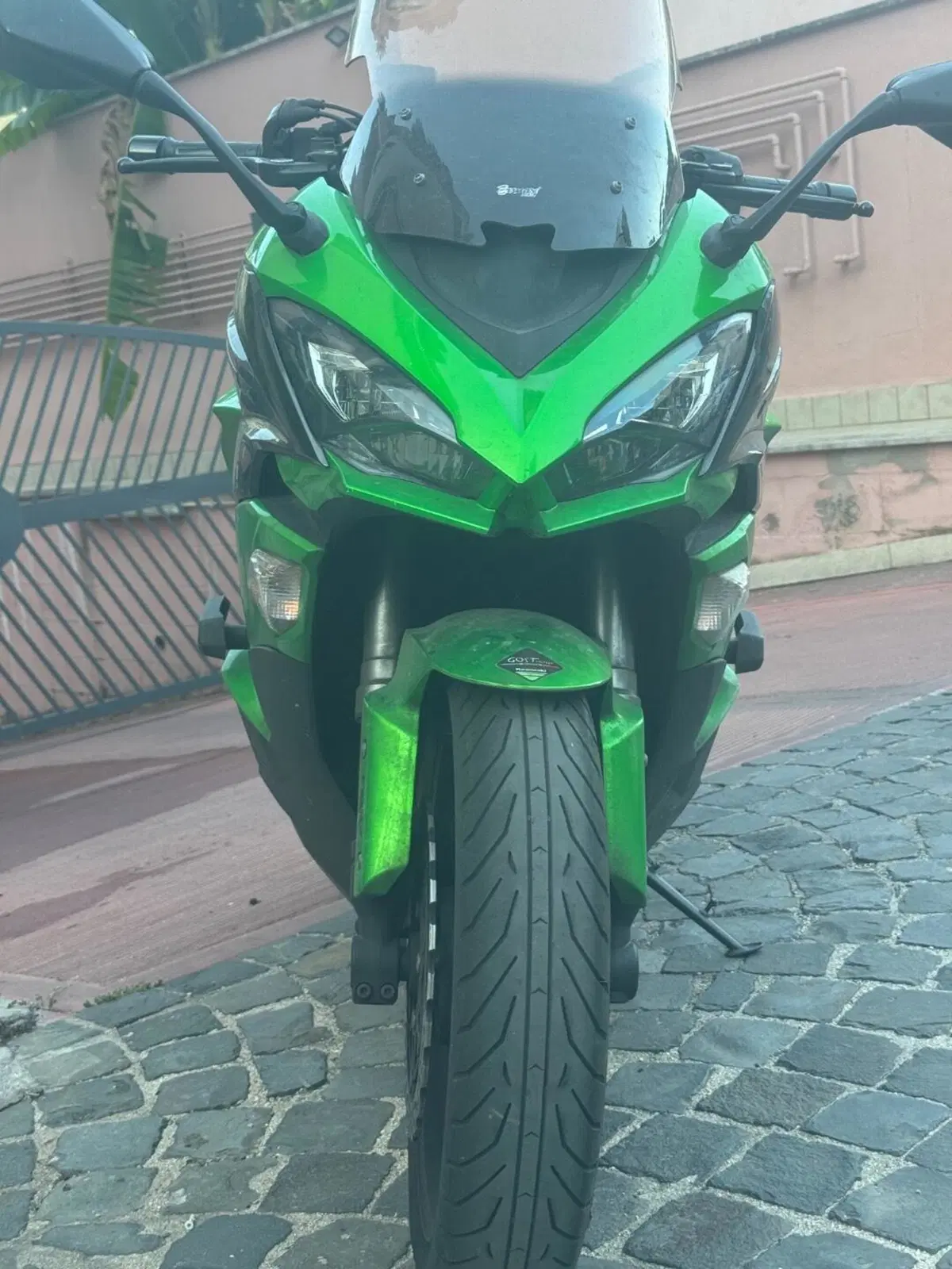 Kawasaki Z 1000 SX (2017 - 20) (7)
