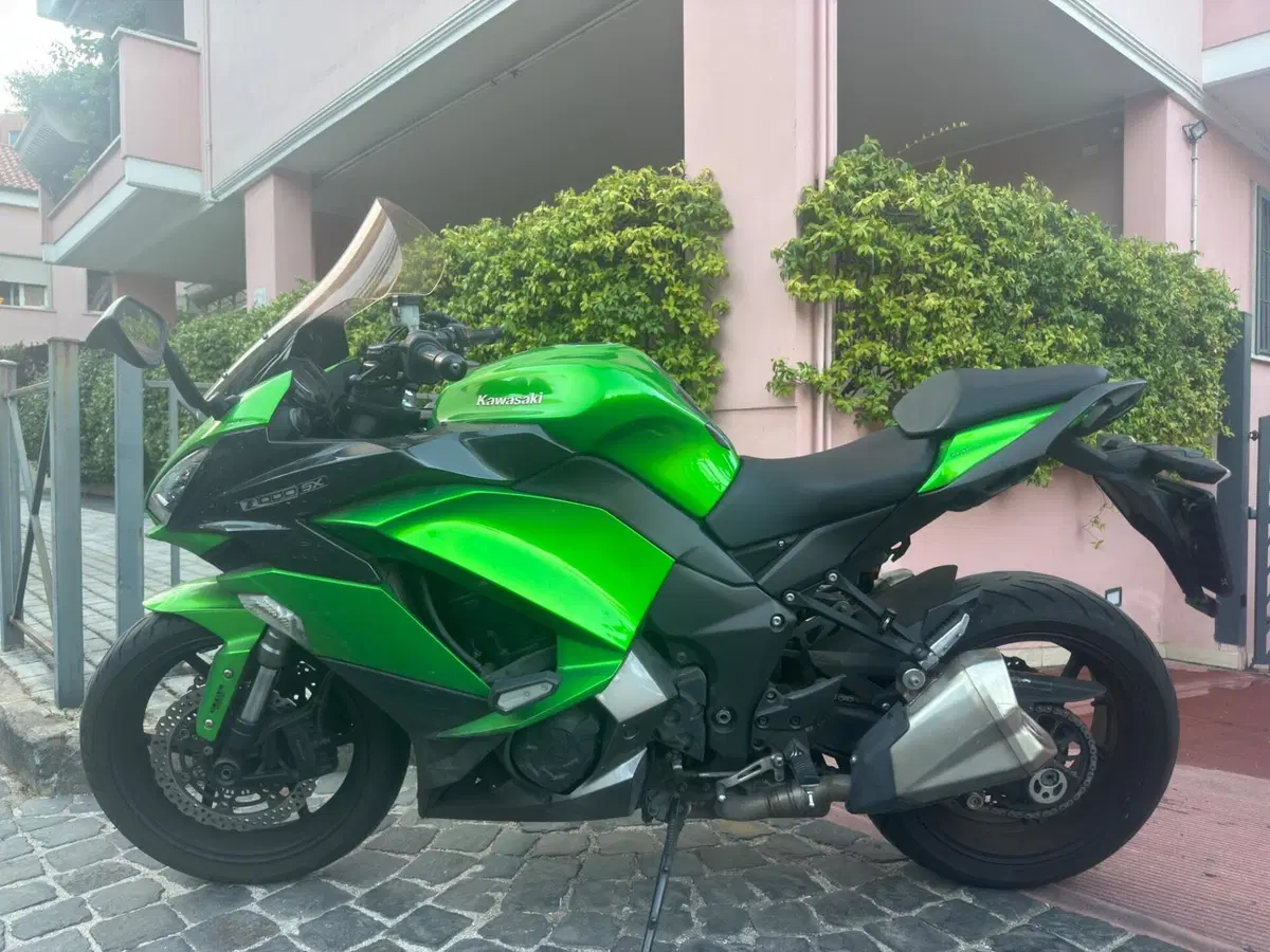 Kawasaki Z 1000 SX (2017 - 20) (2)