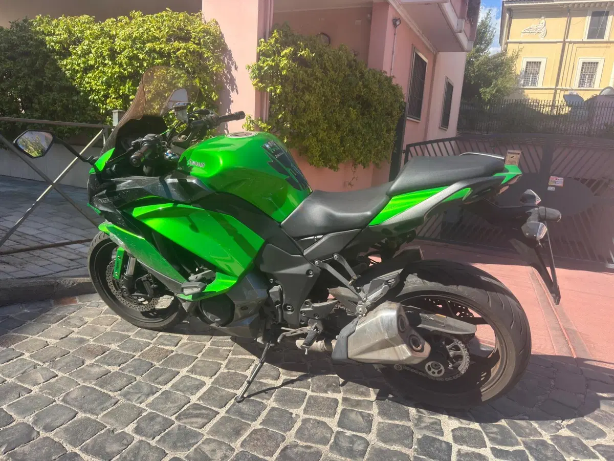 Kawasaki Z 1000 SX (2017 - 20) (10)