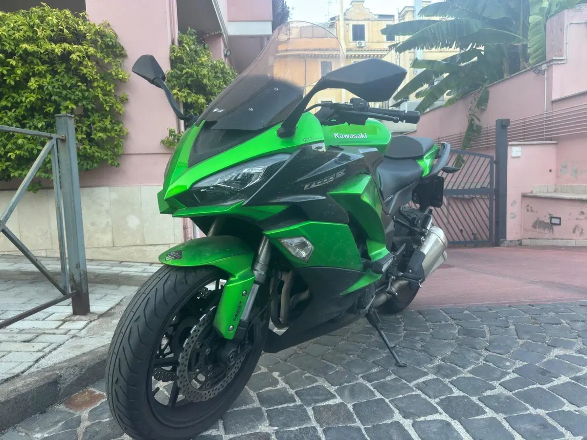 Kawasaki Z 1000 SX (2017 - 20) (11)