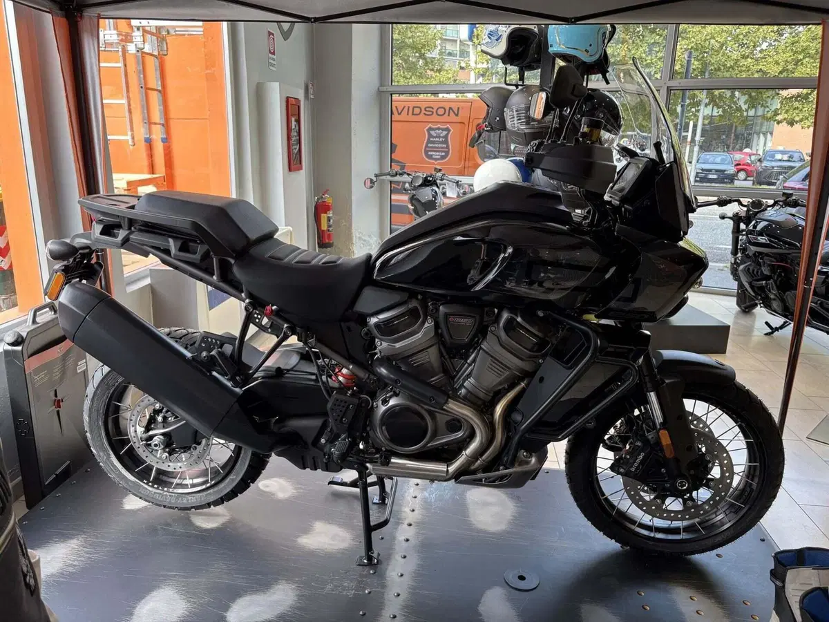 Harley-Davidson Pan America 1250 Special (2020 - 25) (4)