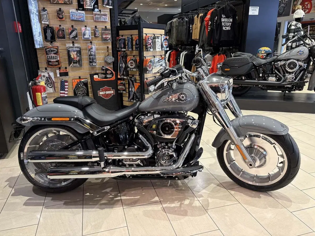 Harley-Davidson Fat Boy 117 (2025 - 26) (2)