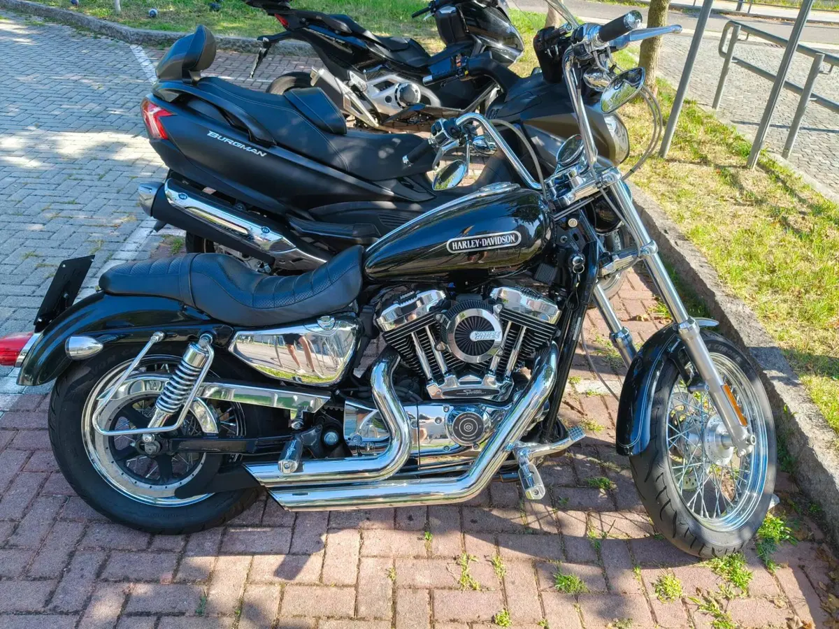 Harley-Davidson 1200 Low (2006 - 07) - XL 1200L