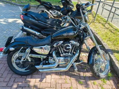 Harley-Davidson 1200 Low (2006 - 07) - XL 1200L usata