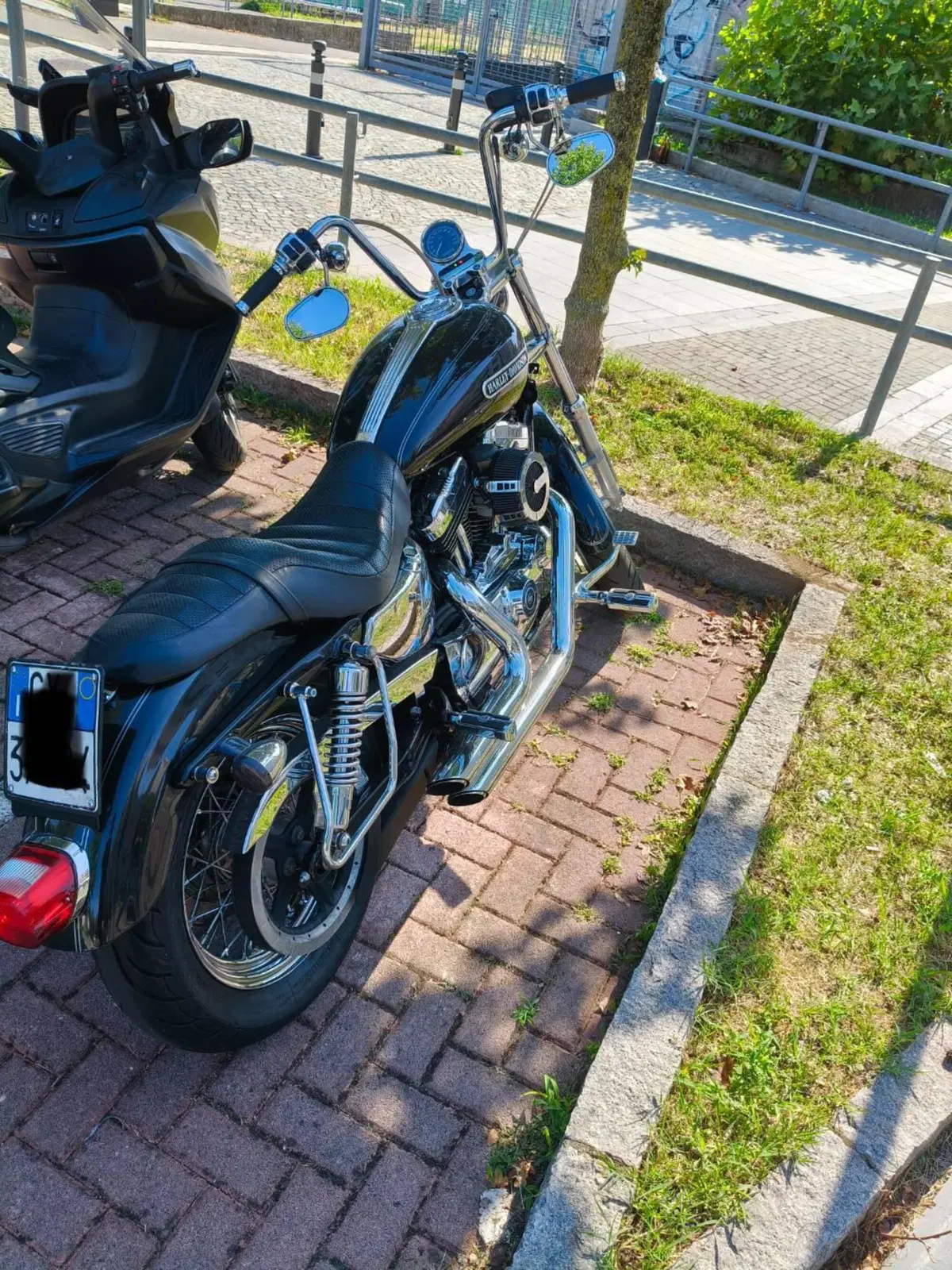 Harley-Davidson 1200 Low (2006 - 07) - XL 1200L (4)