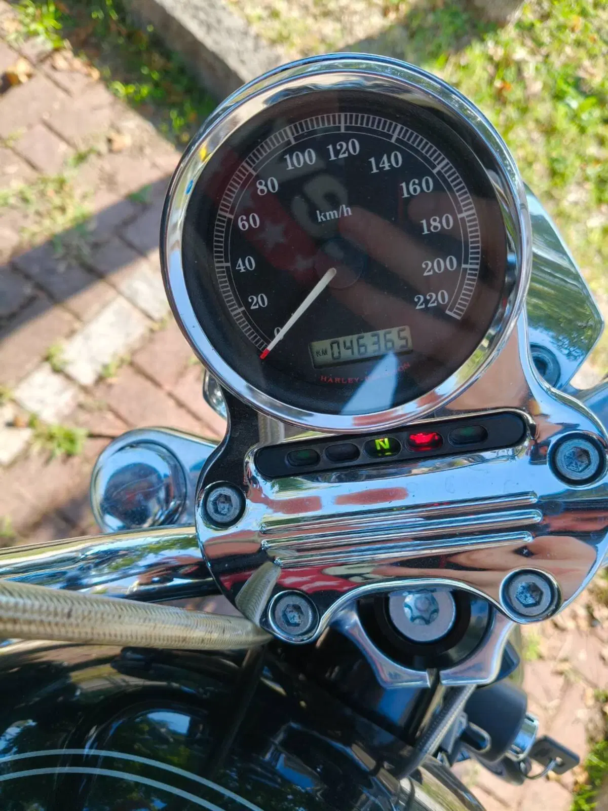 Harley-Davidson 1200 Low (2006 - 07) - XL 1200L (6)