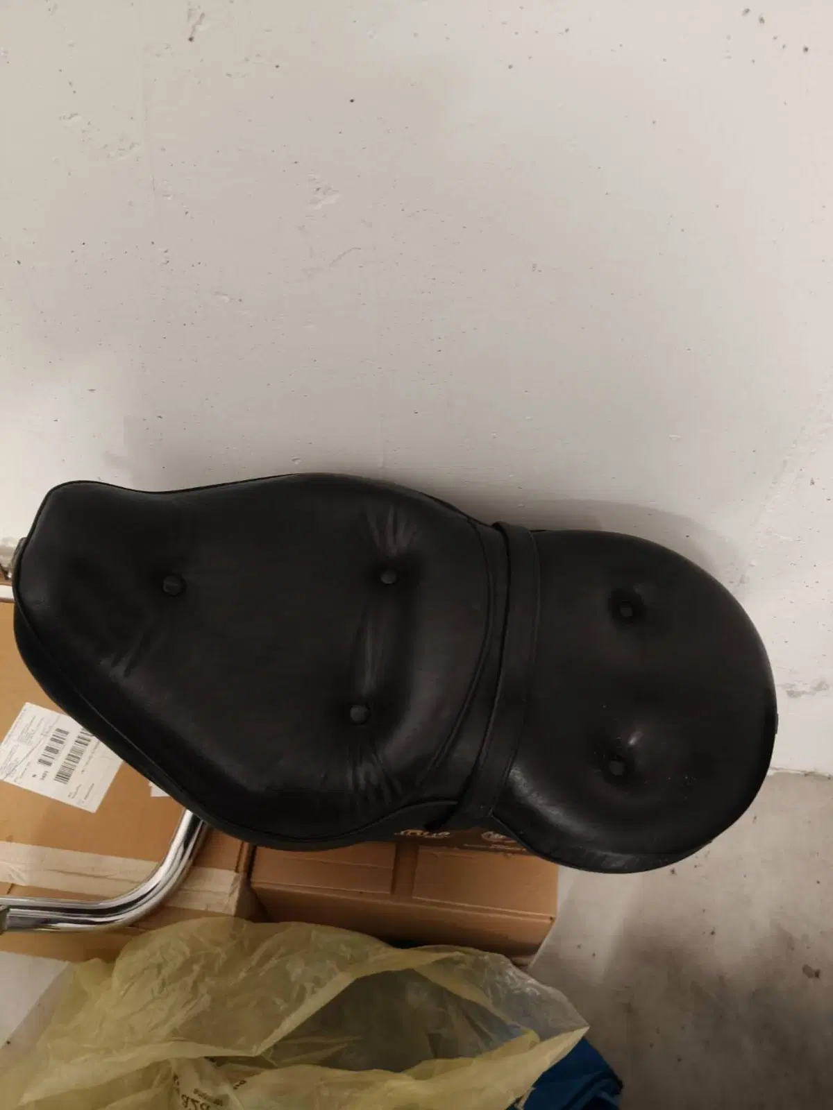 Harley-Davidson 1200 Low (2006 - 07) - XL 1200L (11)