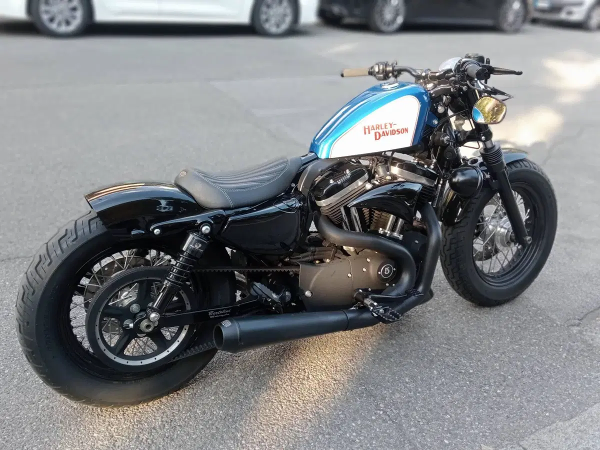 Harley-Davidson 1200 Forty-Eight (2010 - 15) (5)