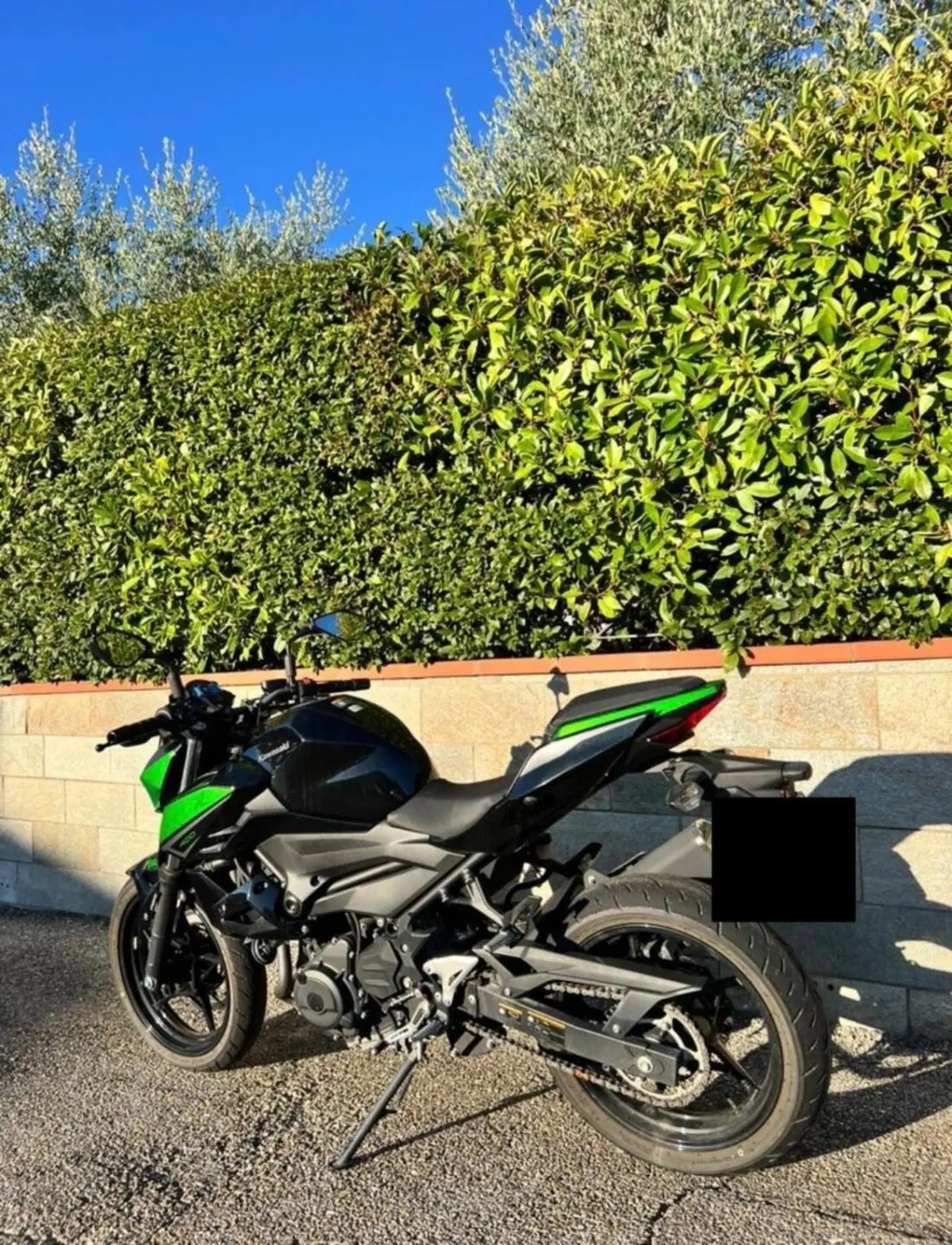 Kawasaki Z 400 (2023) (2)