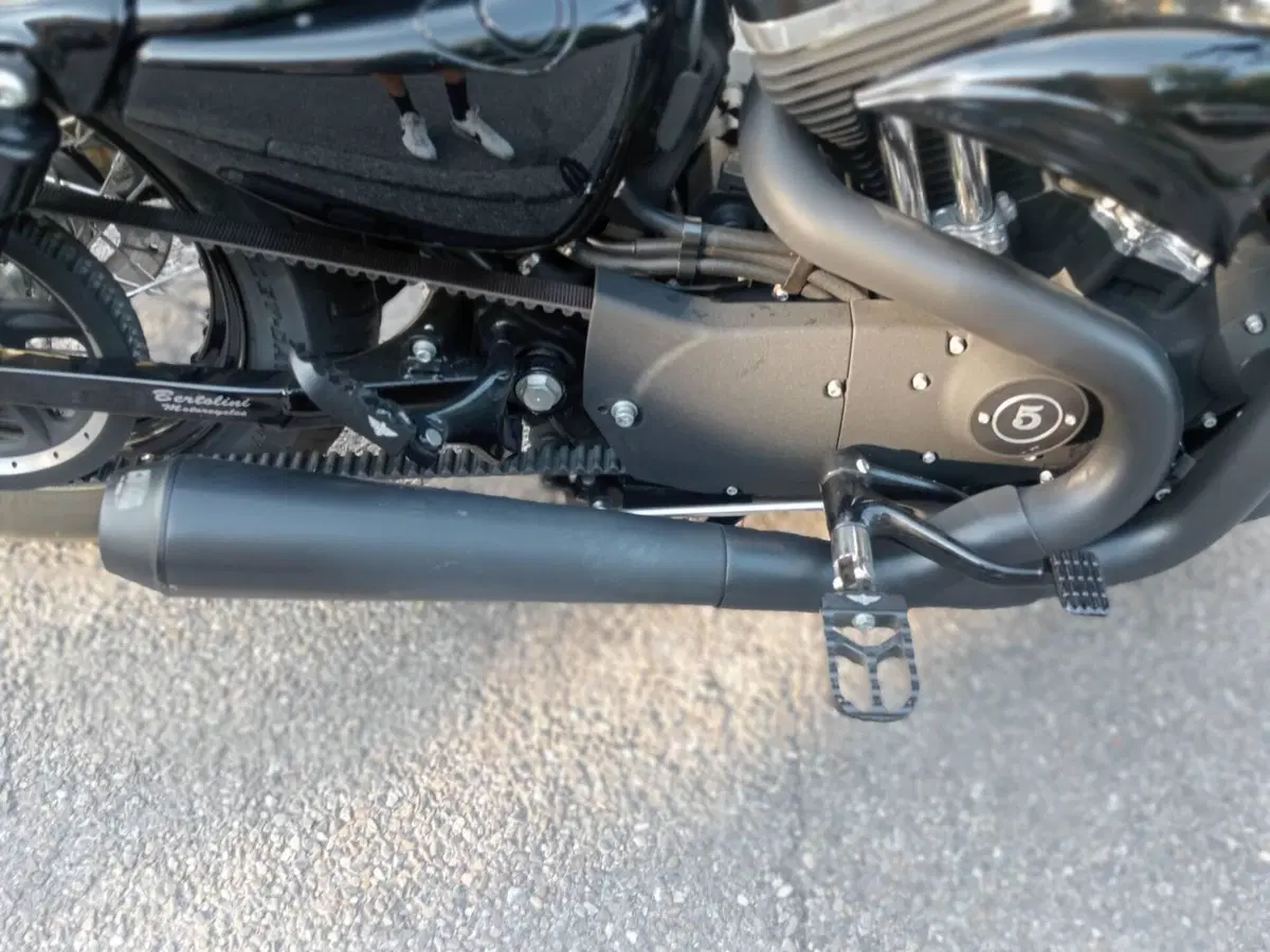 Harley-Davidson 1200 Forty-Eight (2010 - 15) (11)