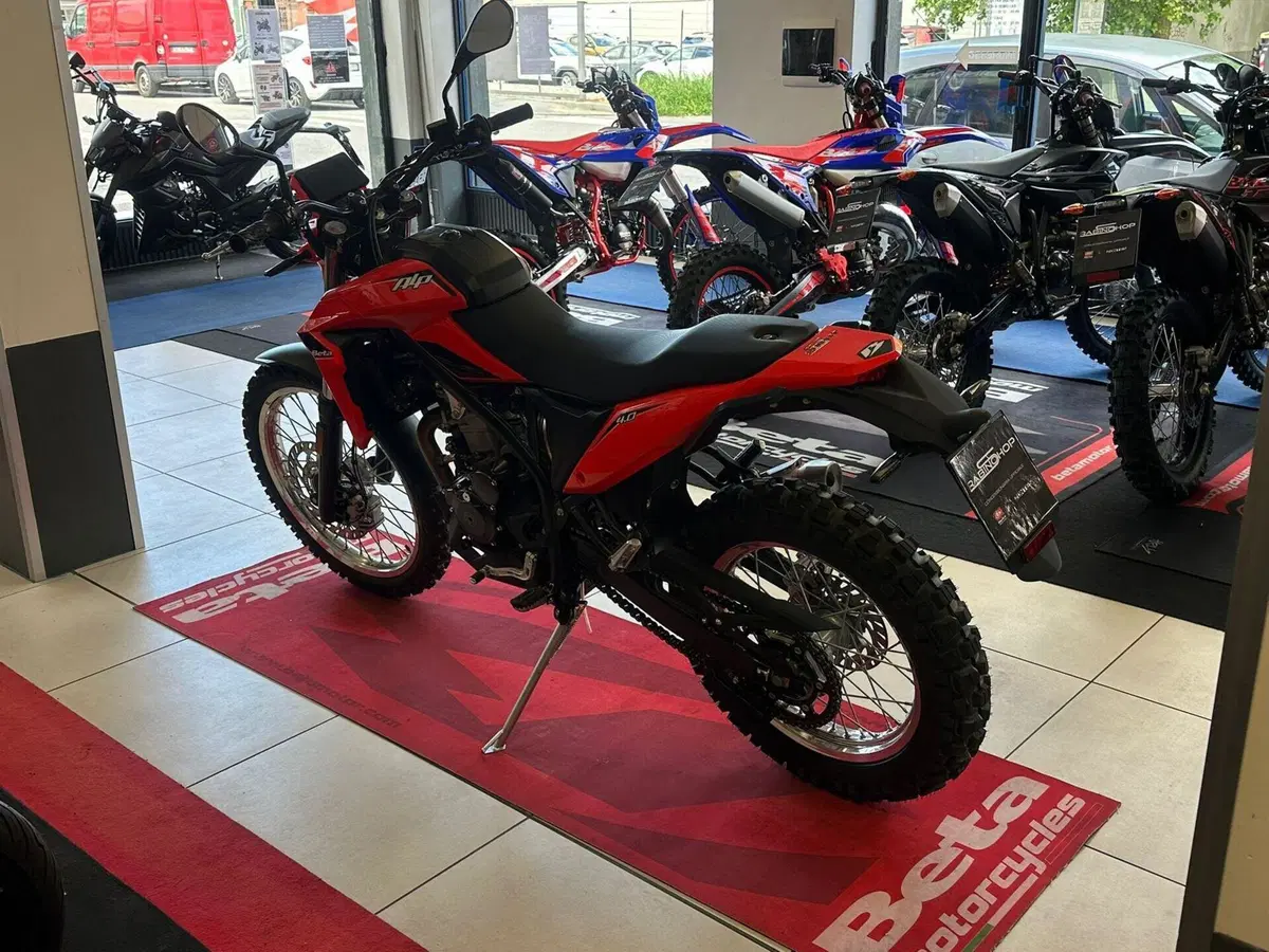 Betamotor Alp 4.0 (2024 - 26) (5)