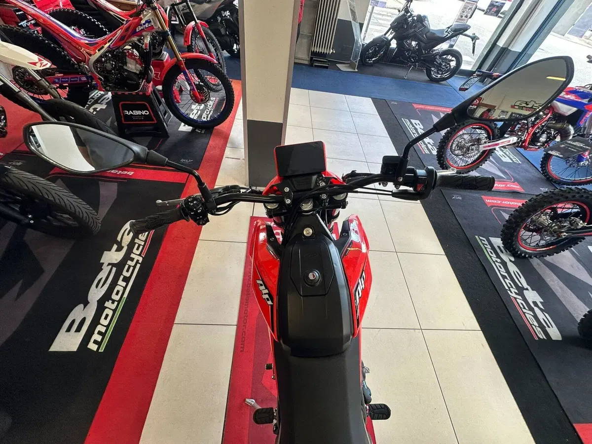 Betamotor Alp 4.0 (2024 - 26) (10)