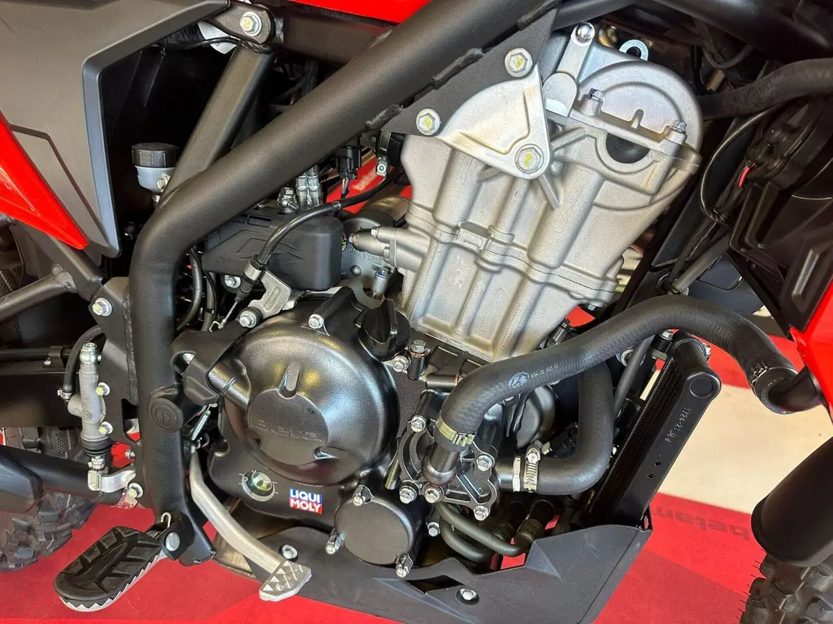 Betamotor Alp 4.0 (2024 - 26) (12)