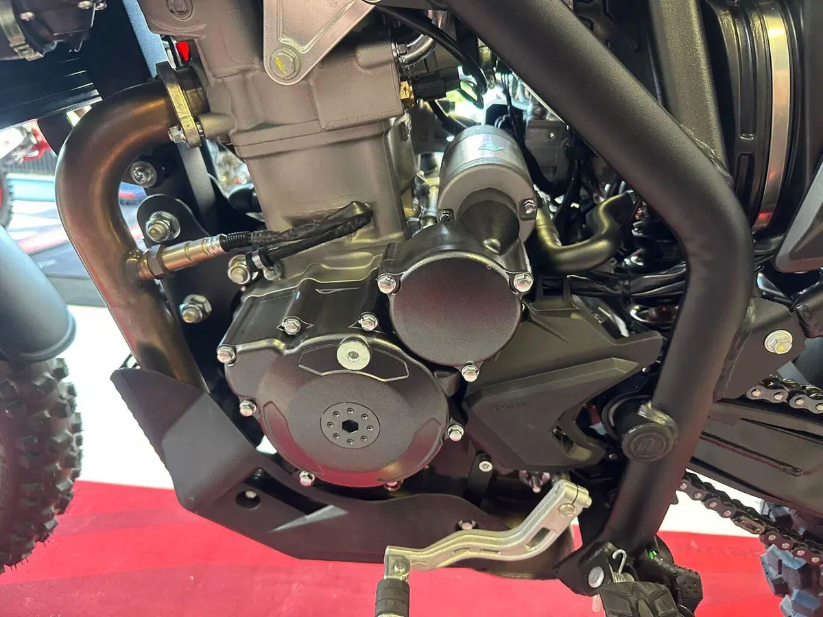 Betamotor Alp 4.0 (2024 - 26) (16)