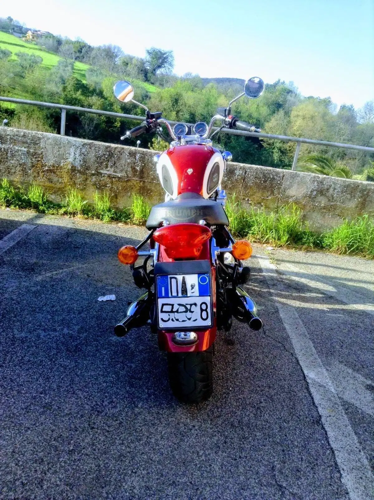 Triumph Thunderbird 900 (2002) (4)