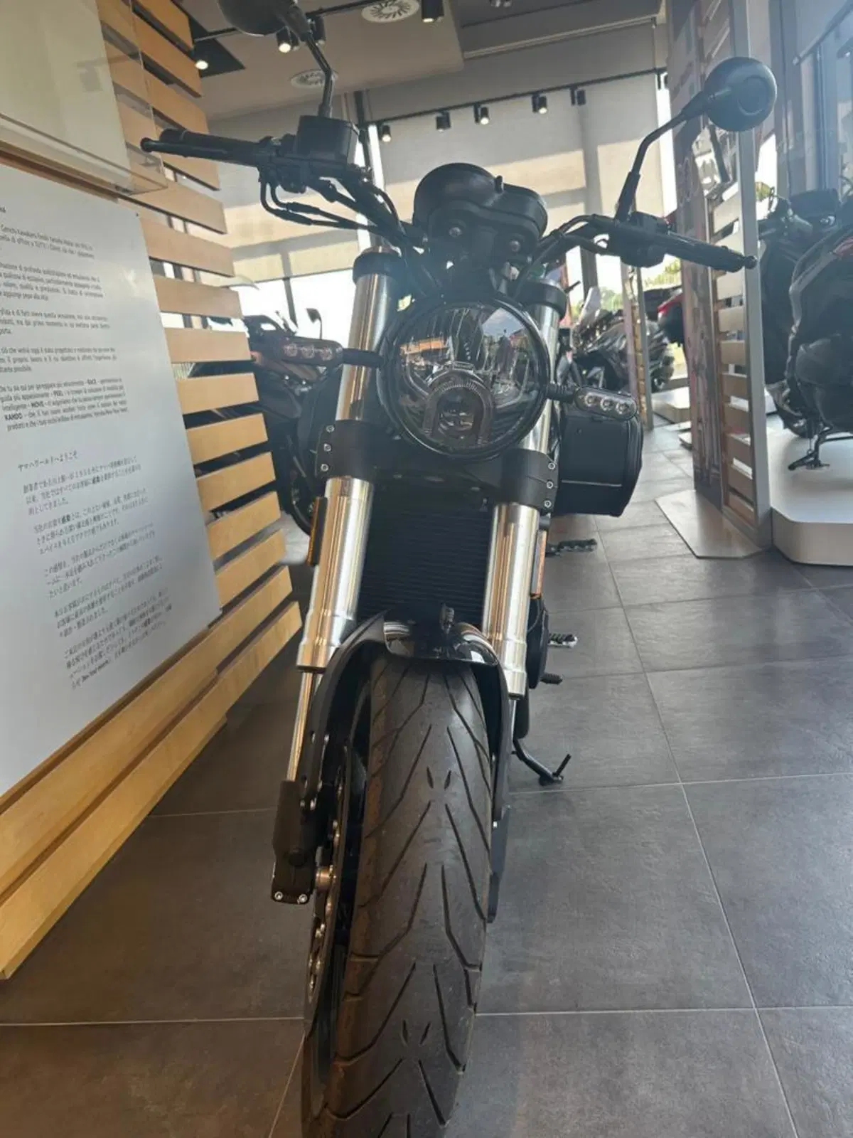 Benelli Leoncino 500 (2021 - 25) (3)