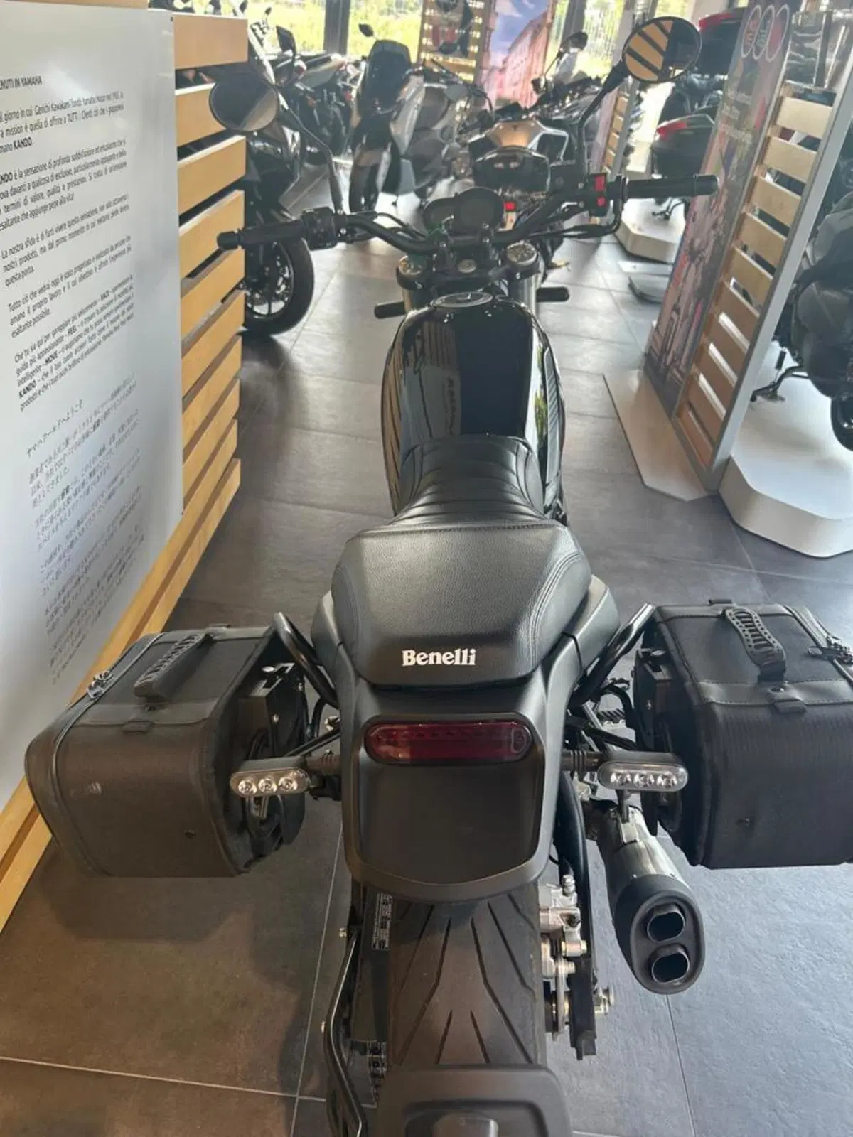 Benelli Leoncino 500 (2021 - 25) (5)