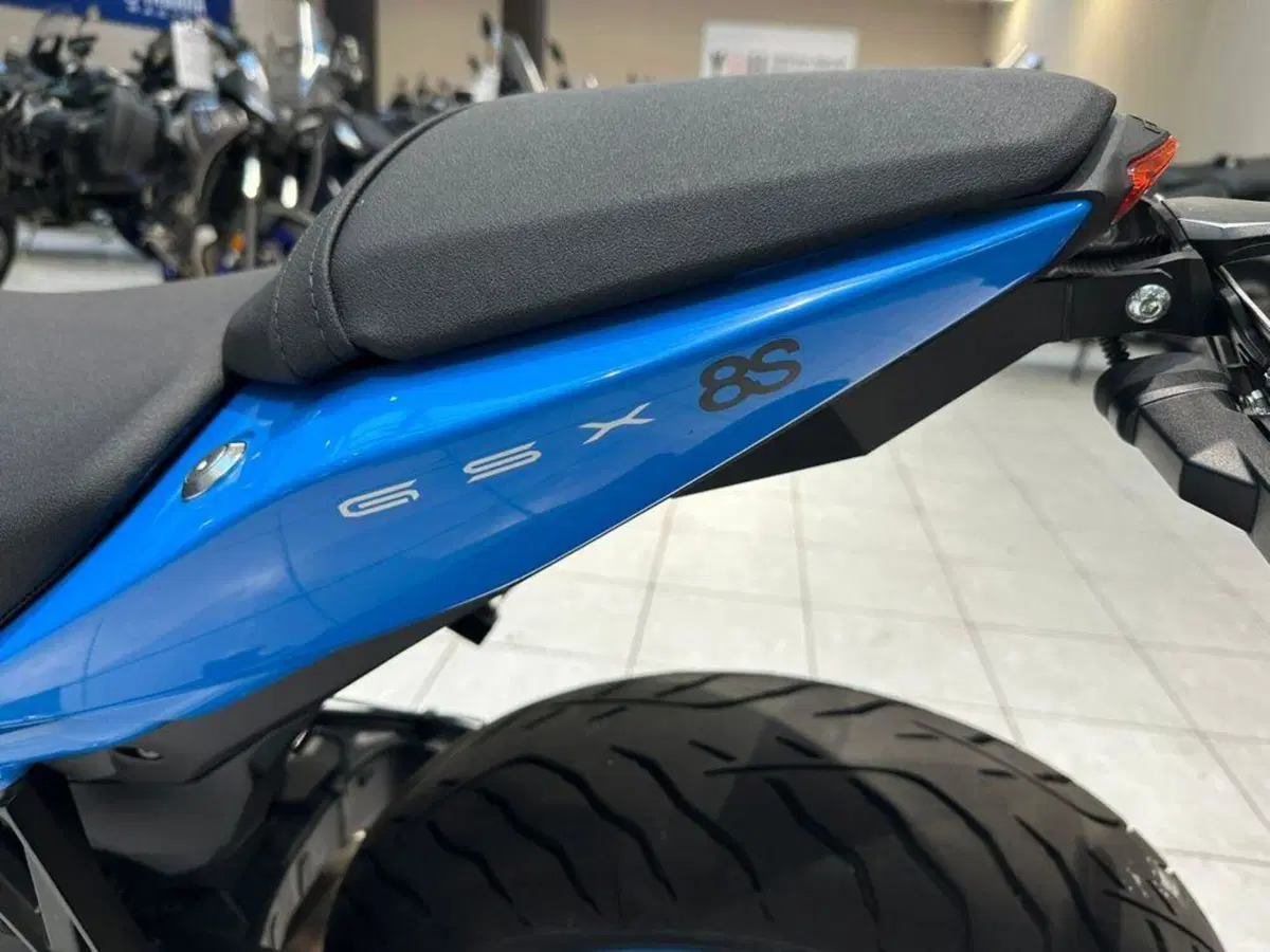 Suzuki GSX-8S (2023 - 24) (4)